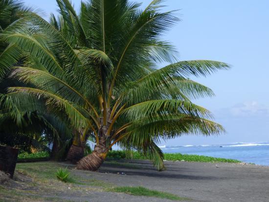 Vahine Vata Beach Restaurant