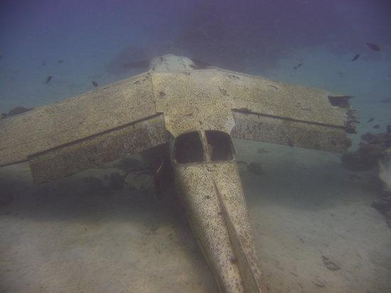TOPDIVE Tahiti