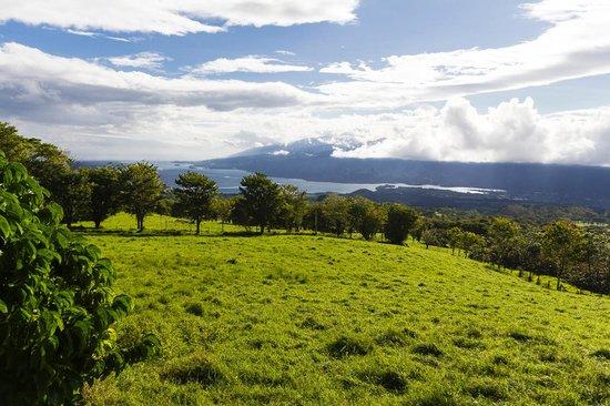 Taravao Plateau