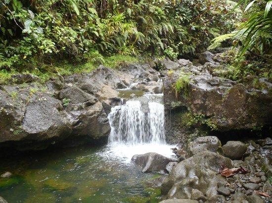 Tahiti Reva Trek - Day Tours