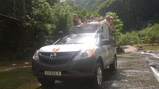 Aratai Safari