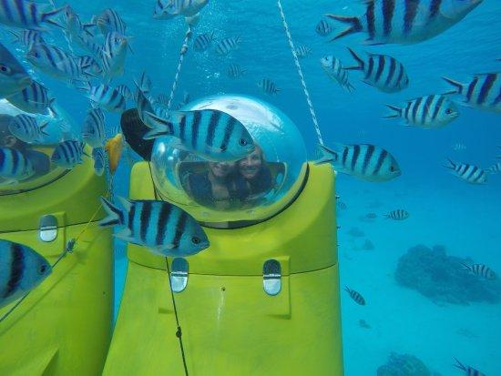 Aqua Bike