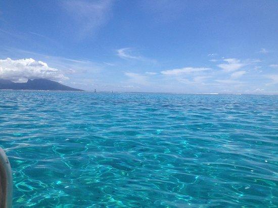 Fluid Tahiti