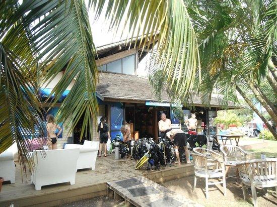 Eleuthera Plongee Tahiti