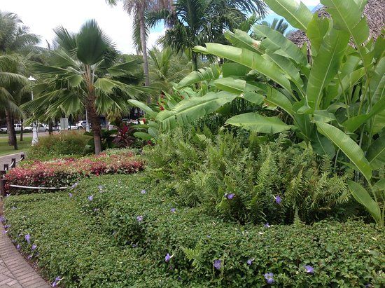 Parc Bougainville